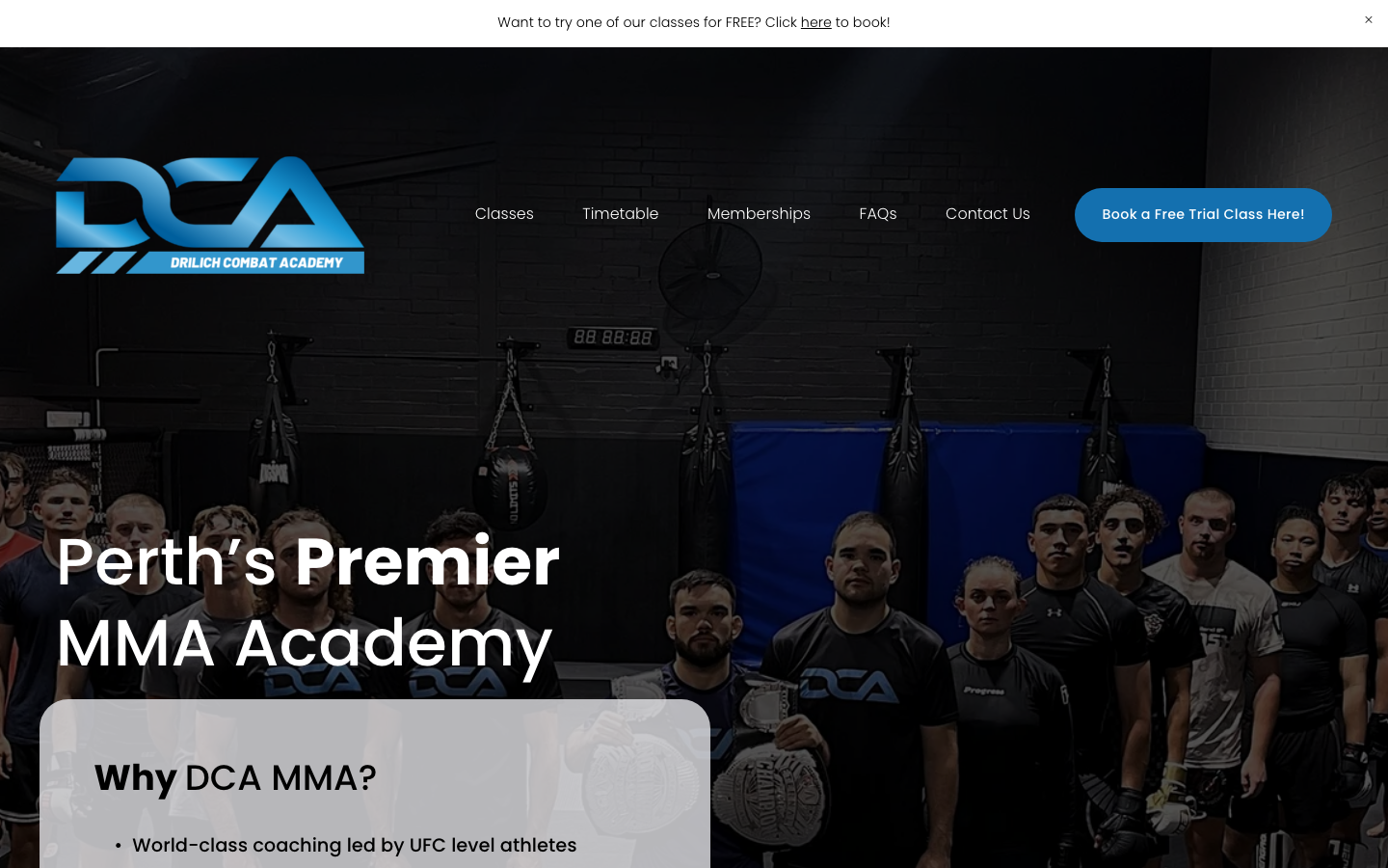 Drilich Combat Academy website